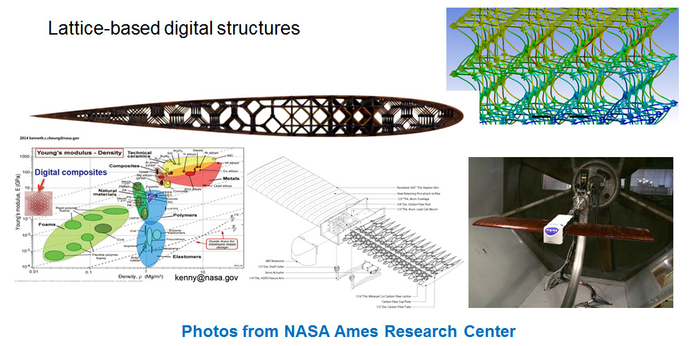 Lattice-Based Wing