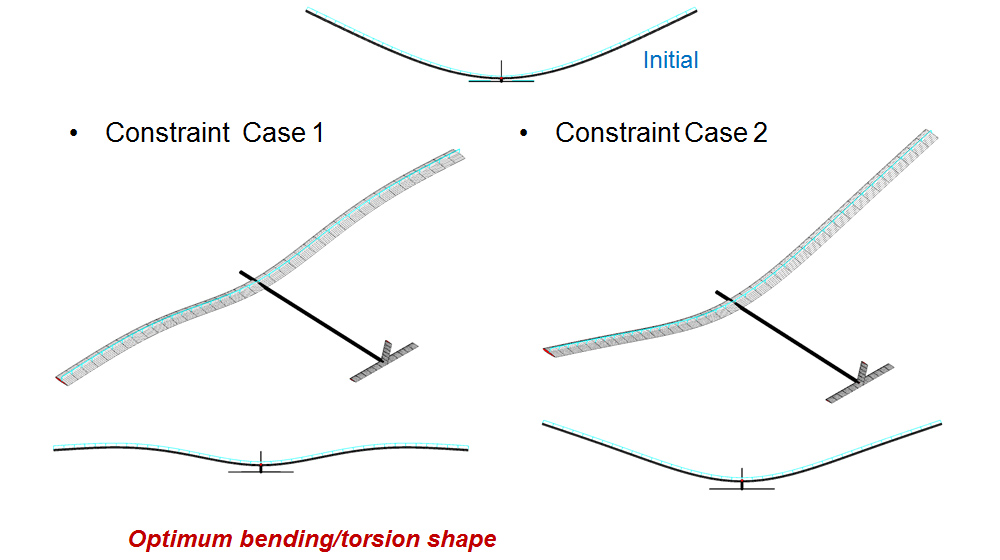 Optimum Wing Shape